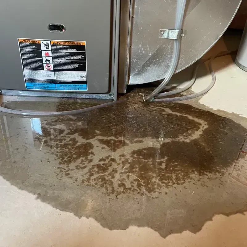 Appliance Leak Cleanup in Lattingtown, NY